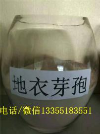 地衣芽孢杆菌及其用途、用量