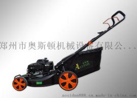 本田草坪机厂家HONDA进口草坪机GXV160割草机