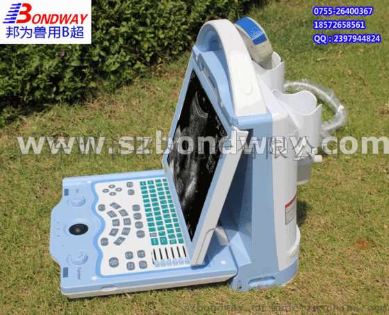 兽用 b超机 便携式B超 兽用动物B超 猪用牛用 猫用小狗用B超 宠物B超