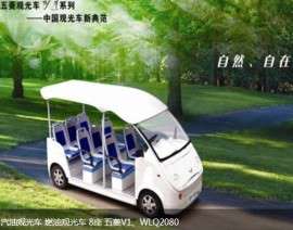 汽油观光车 (WLQ2080)