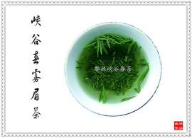 婺源峡谷春雾眉绿茶