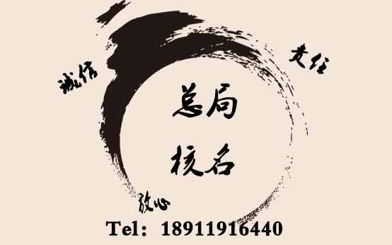 中字开头公司名称_工商总局名称检索预先核准