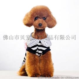 贝宠圆领蕾丝兔子宠物可爱裙