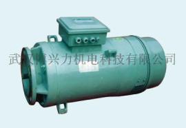 YTLVF（E)200L1-6 起升电机