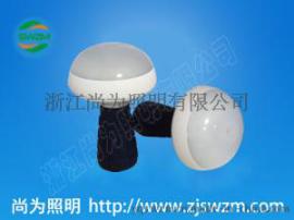 SW2170_SW2170_SW2170泛光警示灯