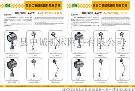 供应LZ110型工作灯LED机床灯光源采用新卤钨灯泡，聚光性好防水防蚀，寿命长