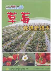 草莓种植栽培技术大全大棚草莓种植技术视频资料