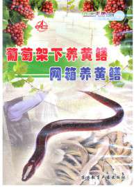 黄鳝养殖技术大全视频网箱鳝鱼养殖技术视频教程