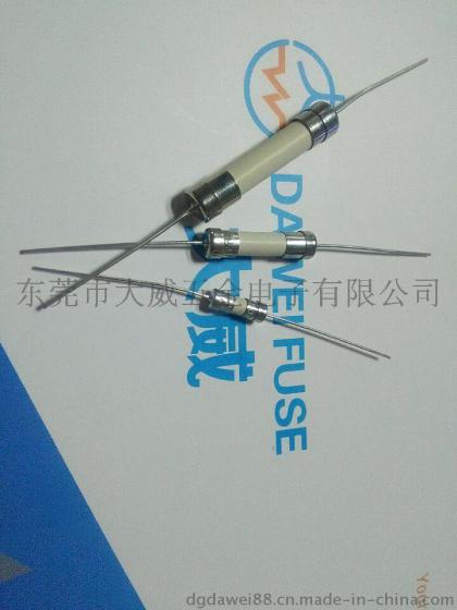 双帽引线保险丝3T保险丝1A-6.3A