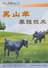 黑山羊养殖技术视频大全羊病防治种草养羊技术教程