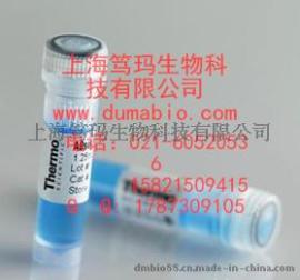 鸡卵清蛋白偶联克伦特罗