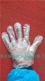 一次性PE手套（最新款）