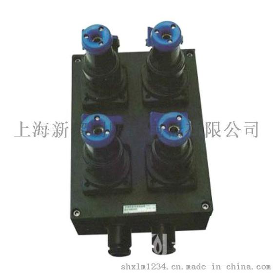 BXS8030防爆防腐电源插座箱，新黎明防爆检修箱，防爆配电箱，防爆控制箱