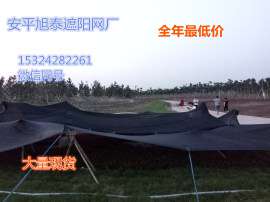 批发黑色六针遮阳网，大量现货，全年最低价！