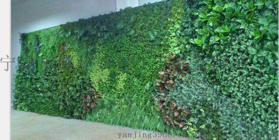 宁波绿植墙 宁波绿化墙 浙江植物墙 上海植物墙 江苏植物墙