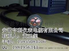 控制变频电缆BPTPLVPL云铝股份