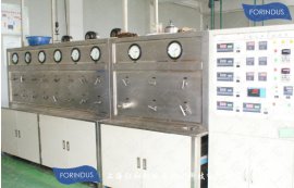 沙棘油超临界CO2萃取设备