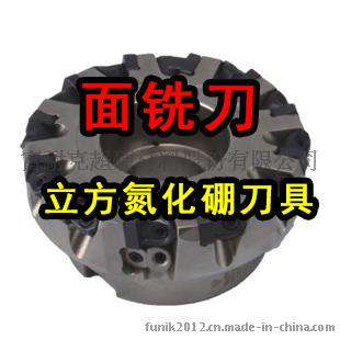 CBN铣刀 可转位面铣刀 CBN立方氮化硼面铣刀 富耐克非标订
