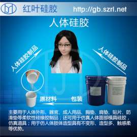 医用教学环保人体硅胶