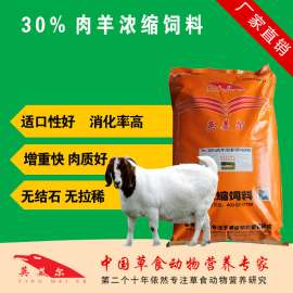 圈养羊怎么喂长的快 圈养羊饲料 30%肉羊浓缩饲料