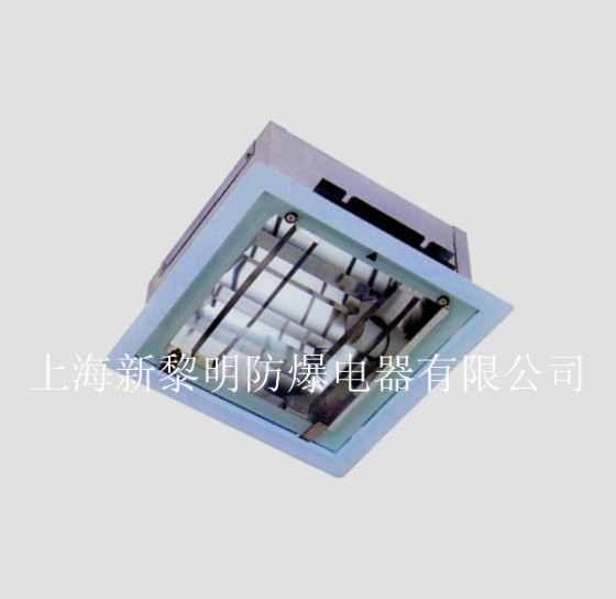 MZH2202高效节能专业油站灯,油站防爆照明灯