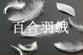 2-4CM水洗鸭毛片