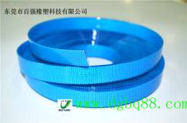 百强25*2.5mm包胶织带