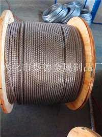 304 不锈钢丝绳,钢丝绳,单股绳
