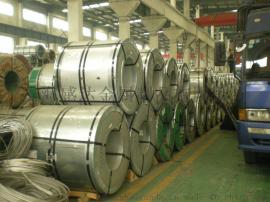 上海感达现货供应 宝钢0Cr23Ni13不锈钢   日立SUS309S不锈钢材    309S方钢  圆钢 钢带