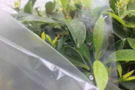 影楼专用冷裱膜水晶膜0.635*20米