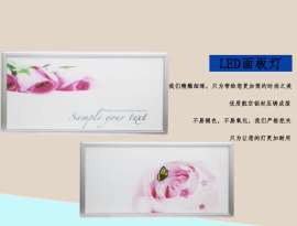 玫瑰花图案长方形LED