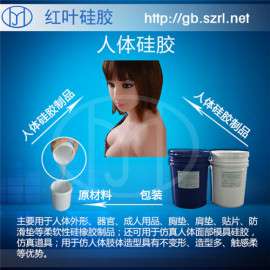 人体模具硅胶
