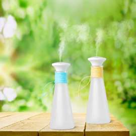 鸿港新款USB加湿器 许愿瓶加湿器 USB补水仪 家用加湿器