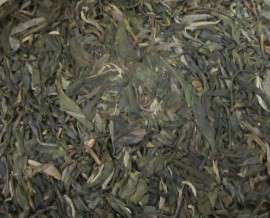 云南普洱茶