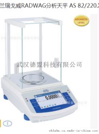 湖北总代瑞戈威分析天平AS 110.X2