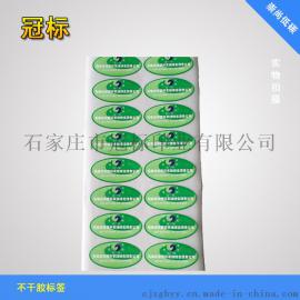 优质的文具专用标签贴纸
