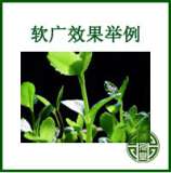 软文案例|微信软文范例|汽车软文范例|网店推广|产品软文范例