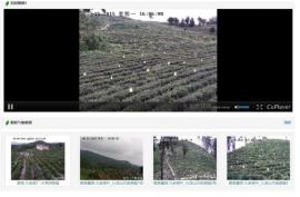 港口码头视频监控无线传输解决方法