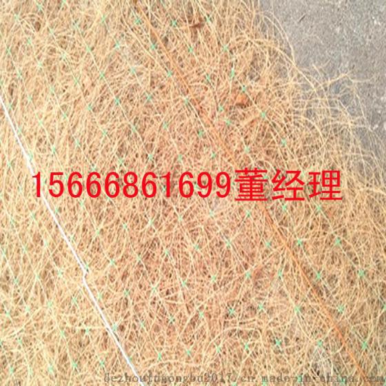 厂家专业生产植物纤维毯 抗水蚀 抗风蚀 固土表