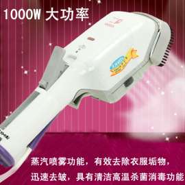 厂价直销1000W蒸汽熨刷带不绣钢 蒸汽电熨斗手持式挂烫刷 JK-760