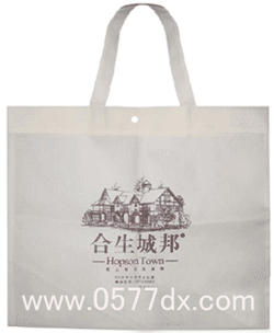 无纺布袋（DX-1020）