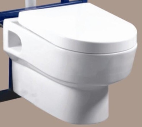 挂墙式座便器 V7512