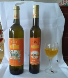 河北振冀（果酒品牌）新品诚招加盟代理