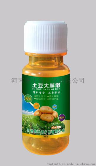 土豆调节剂-土豆大胖墩