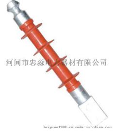 复合绝缘子FS-12/5