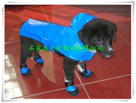 小型宠物狗雨衣，防水PVC雨衣
