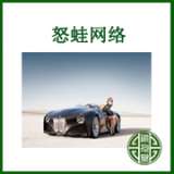 网络营销模式|网络营销方式有哪些|什么是网络营销|网络营销怎么做