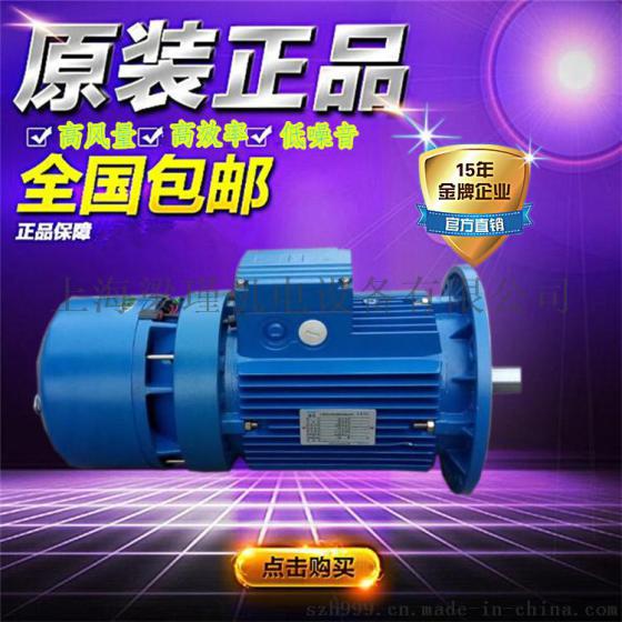 紫光刹车电机厂家，BMD8022直流刹车电机报价