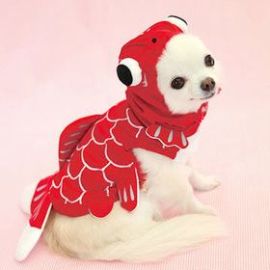 宠物衣服-立体金鱼变身装小狗搞怪服饰 万圣节宠物衣服