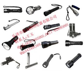 SW2101，SW2101防爆电筒，SW2101冷光源防爆电筒